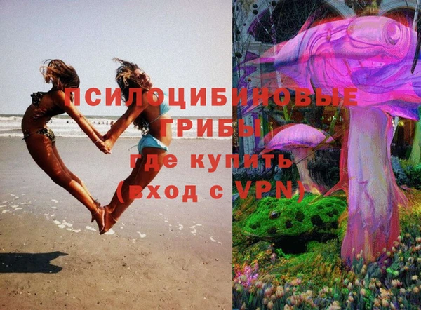метадон Гусев