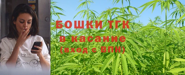 метадон Гусев