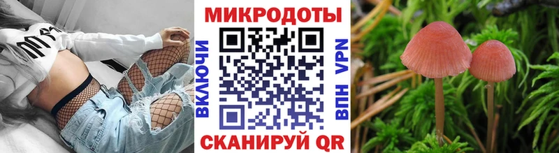 Псилоцибиновые грибы ЛСД  купить закладку  Печоры 